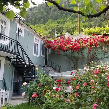 Guest House Green Rose Borjomi ภายนอก รูปภาพ