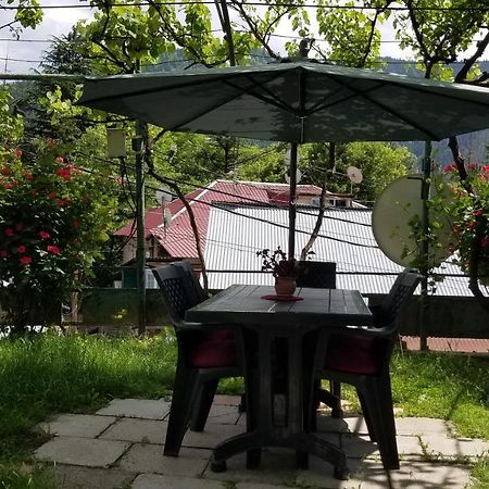 Guest House Green Rose Borjomi ภายนอก รูปภาพ