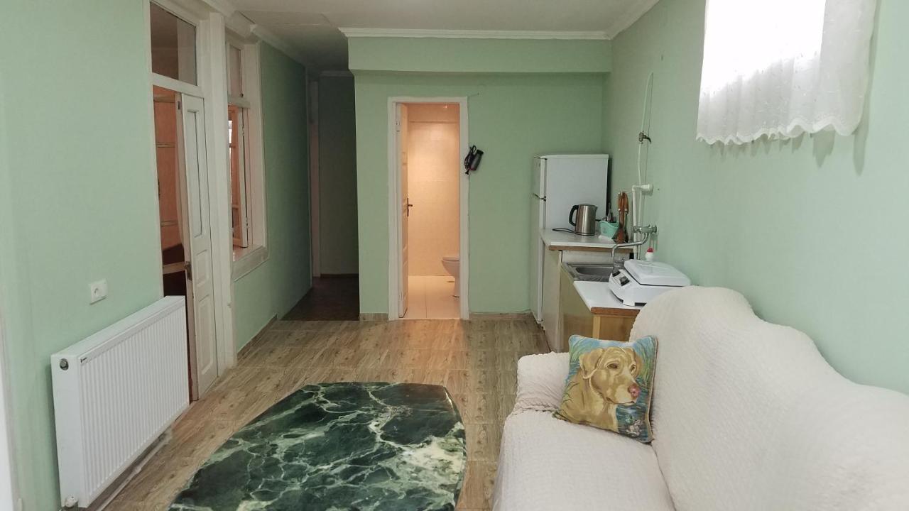 Guest House Green Rose Borjomi ภายนอก รูปภาพ