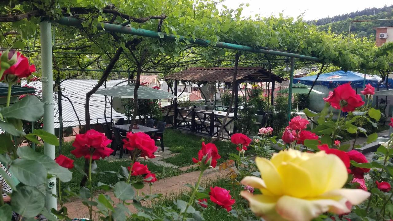 Guest House Green Rose Borjomi ภายนอก รูปภาพ