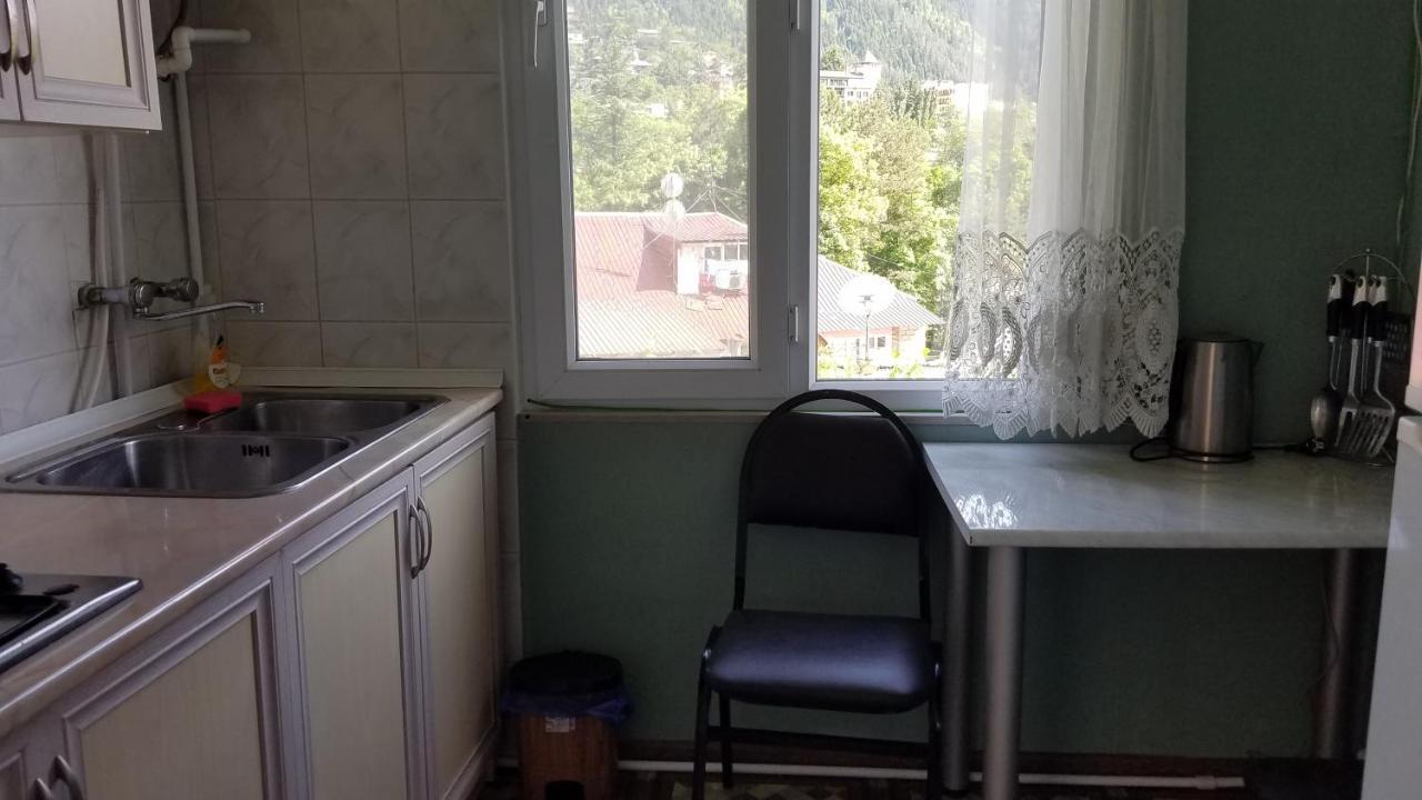 Guest House Green Rose Borjomi ภายนอก รูปภาพ