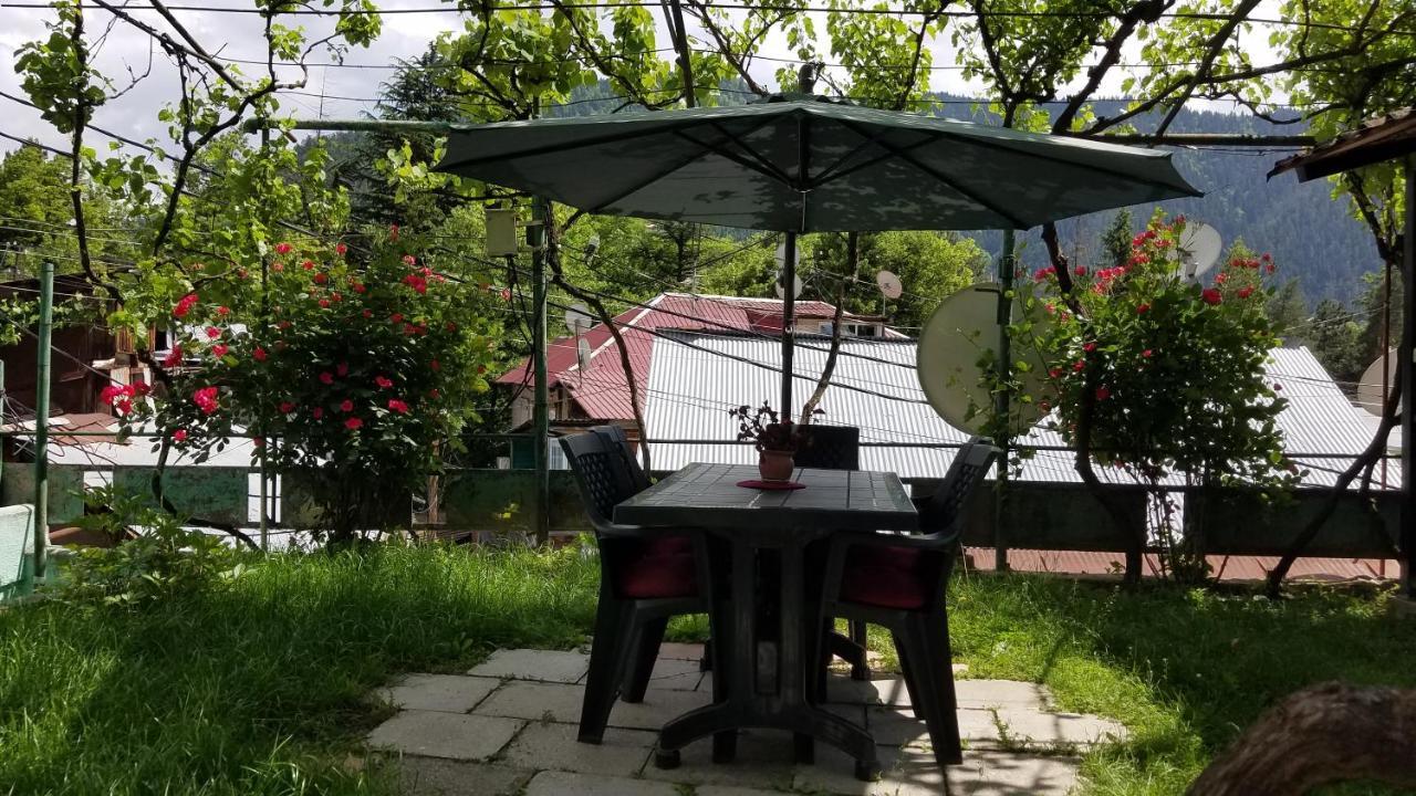 Guest House Green Rose Borjomi ภายนอก รูปภาพ