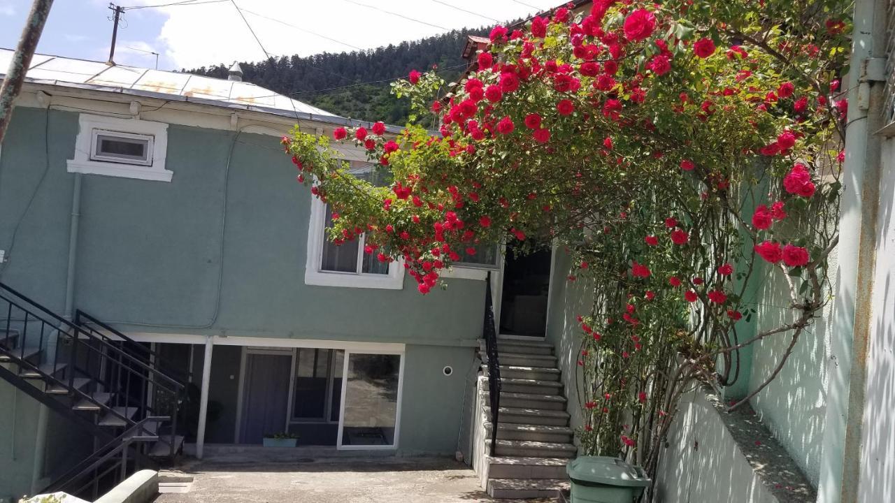Guest House Green Rose Borjomi ภายนอก รูปภาพ
