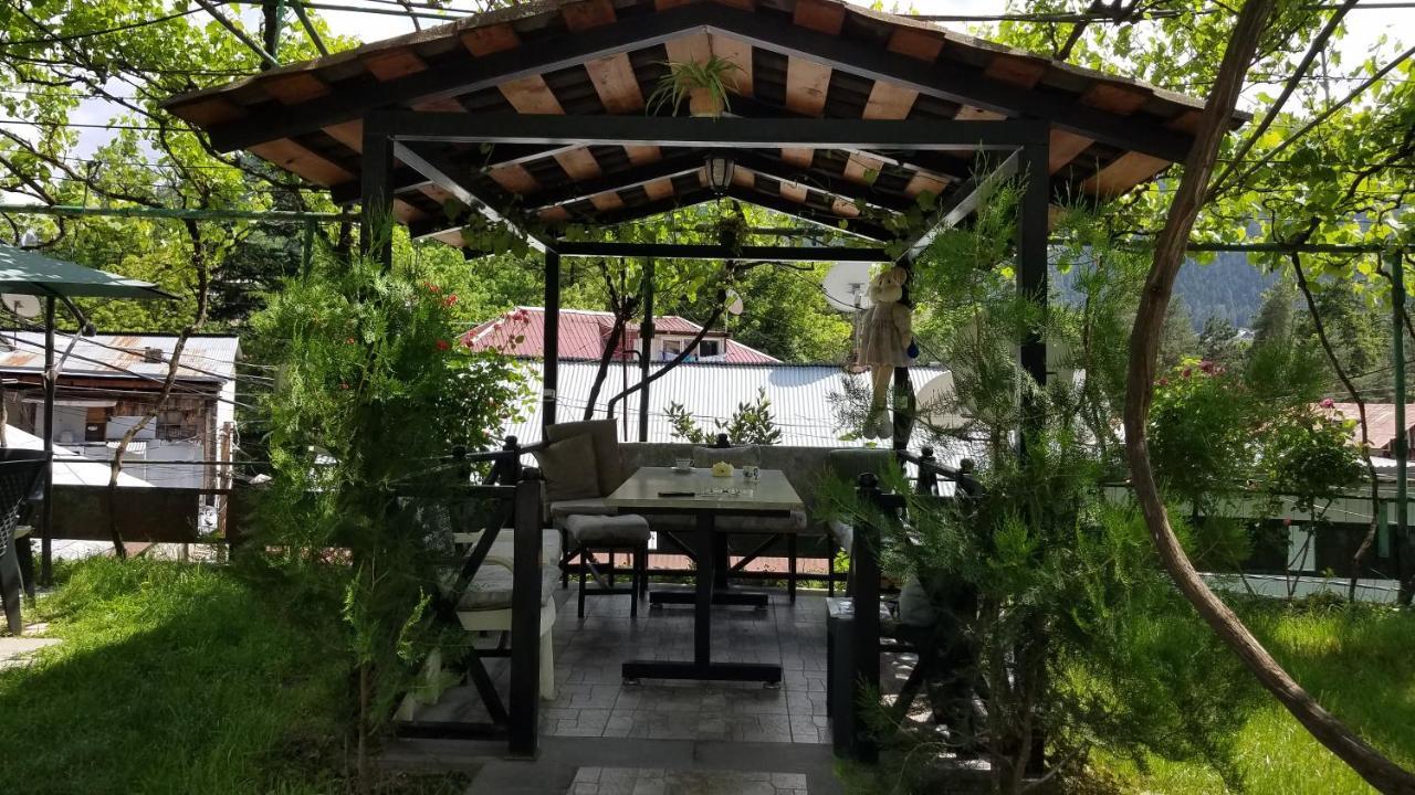 Guest House Green Rose Borjomi ภายนอก รูปภาพ